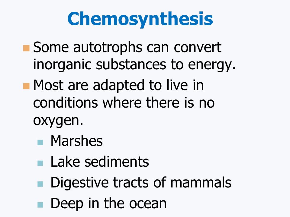 Photosynthesis vs. Chemosynthesis: What's the Difference?